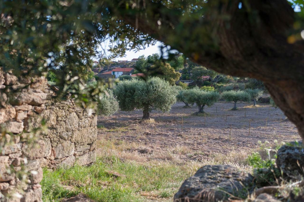 Cidadelhe Rupestre Turismo Rural Buitenkant foto